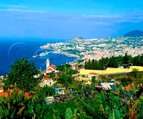 View over Funchal Madeira