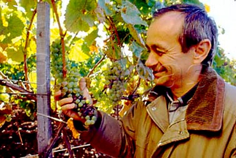 Winemaker Istvan Szepsy Md Hungary   Tokay