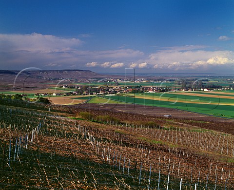 View north in early spring along the Cte des Blancs from the slopes of Mont Aim to villages of BergreslsVertus and Vertus Marne France Champagne