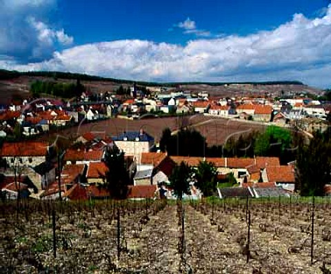 Le MesnilsurOger and its small walled vineyard  Clos du Mesnil in mid April Owned by Krug it is planted solely with Chardonnay vines   Marne France  Cte des Blancs  Champagne