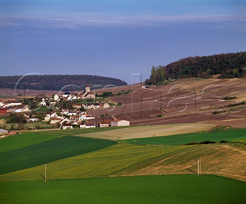 Village of Cuis and its vineyards in mid April Marne France  Cte des Blancs  Champagne