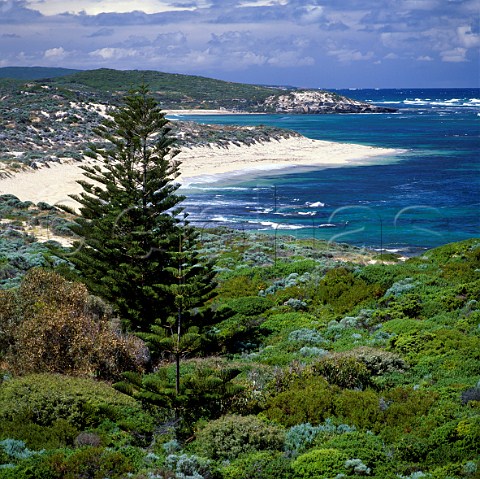Beach at the mouth of the Margaret River   Western Australia