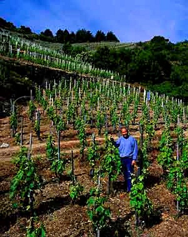 Thierry Allemand amidst the old Syrah vines of his   steep Reynard vineyard in the hills   above Cornas Ardche France   AC Cornas