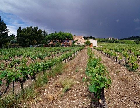 Domaine Alary and its vineyard Cairanne Vaucluse France   Ctes du RhneVillages