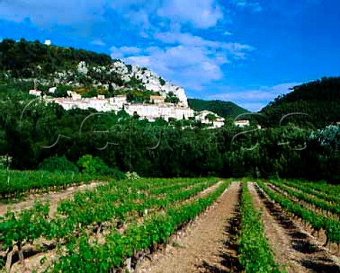 Vineyard below Sguret Vaucluse France  Ctes du RhneVillages
