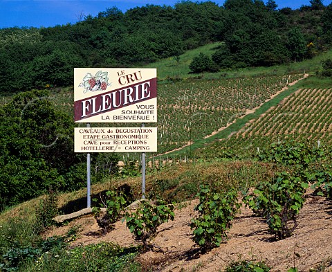 Le Cru Fleurie sign Fleurie Rhne France   Fleurie  Beaujolais
