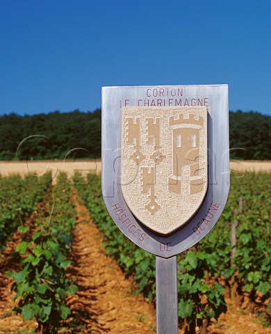 Marker denoting a vineyard belonging to the Hospices de Beaune on the hill of Corton AloxeCorton Cte dOr France CortonCharlemagne