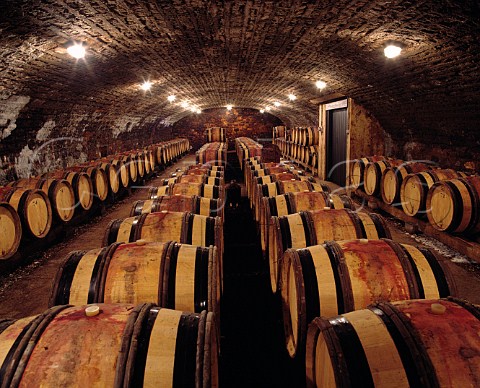 Barrel cellar of Domaine Armand Rousseau  GevreyChambertin Cte dOr France  Cte De Nuits