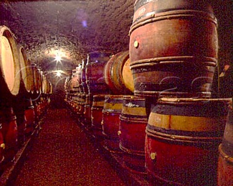 Barrel cellar of Domaine Chandon de Briailles  SavignylsBeaune Cte dOr France