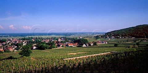 GevreyChambertin viewed from above Les Cazetiers vineyard Cte dOr France Cte De Nuits Premier Cru