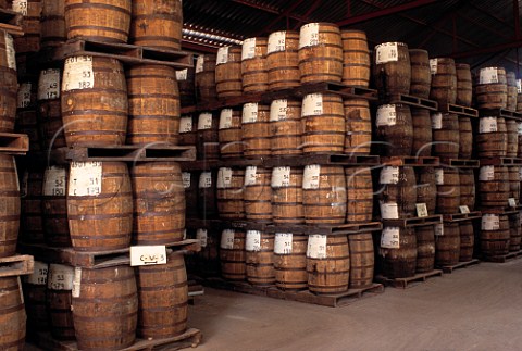 Barrels of rum at StJames Distillery   Martinique Windward Islands Lesser   Antilles Caribbean
