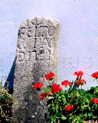 Old Douro demarcation stone at   Quinta da Pacheca Peso da Regua Portugal Douro    Port