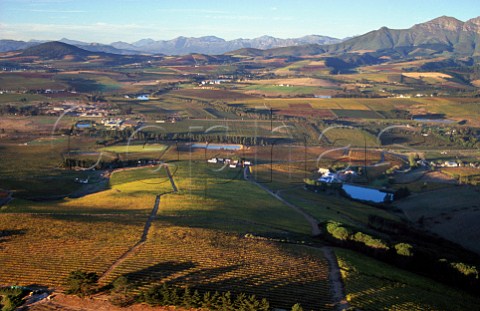 Aerial view over vineyards of    Mulderbosch Stellenbosch South Africa