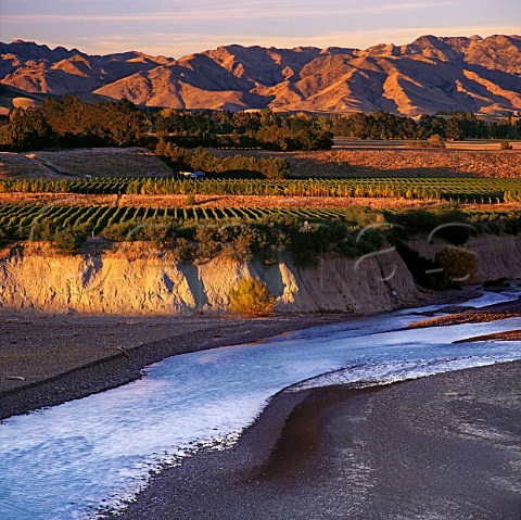 Wakefield Downs vineyard of Babich in the   Awatere Valley Marlborough New Zealand