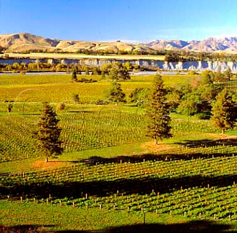 Medway River Vineyard of The Crossings in the Awatere Valley Marlborough New Zealand