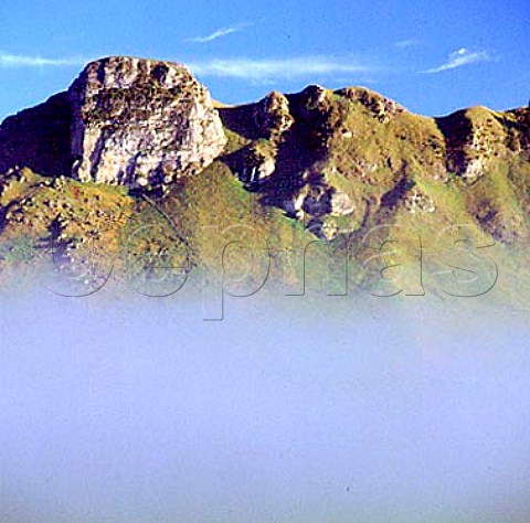 Te Mata peak above the morning fog   Havelock North New Zealand  Hawkes Bay