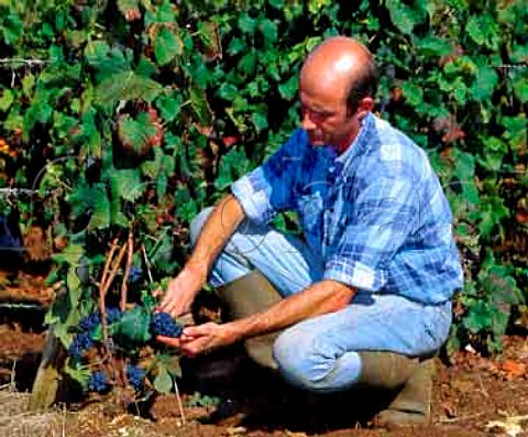 Eric Bourgogne viticulturist for Comtes Georges de   Vog in Les Petits Musigny vineyard   ChambolleMusigny Cte dOr France
