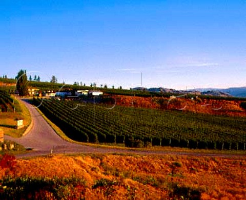 Gehringer Brothers vineyard and winery Oliver   British Columbia Canada Okanagan Valley
