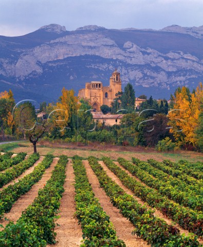 Vineyard and church at Leza with the Sierra de Cantabria beyond Alava Spain Rioja Alavesa