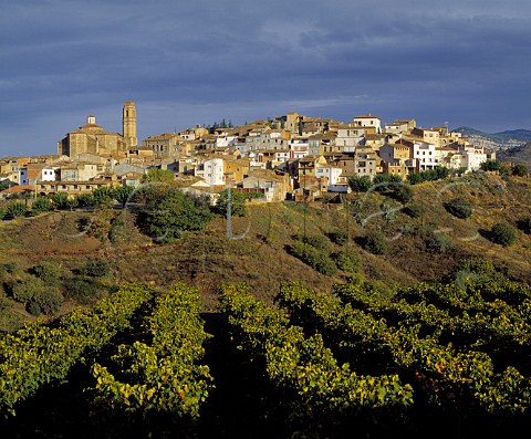 Village of Gratallops viewed over vineyard of Alvaro Palacios Catalonia Spain      Priorato