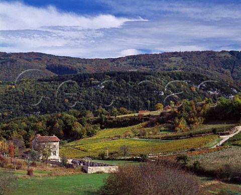 Autumnal vineyards at Mrignat Ain France  Bugey