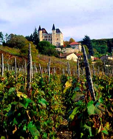 Vineyard below Chteau de Varey SaintJeanleVieux Ain France   Bugey