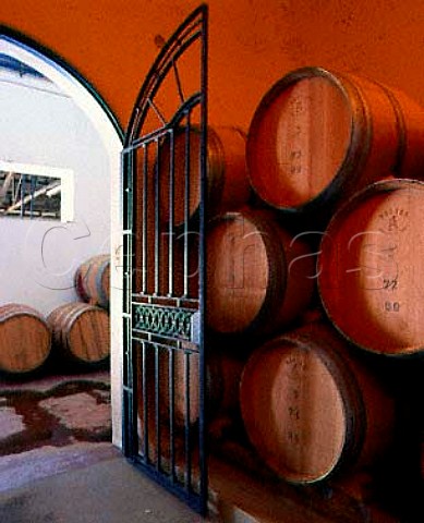 Barrel room of Bodegas y Viedos Leoncio Arizu  the   wine is sold under the name Luigi Bosca   Lujn de Cuyo Mendoza province Argentina