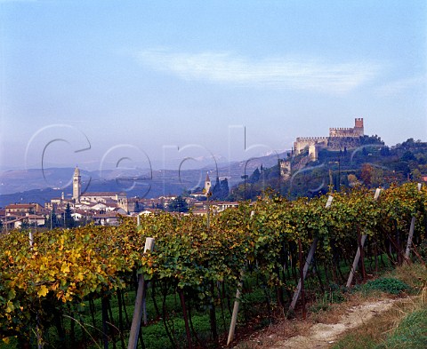 Autumnal vineyard above Soave Veneto Italy   Soave Classico DOC