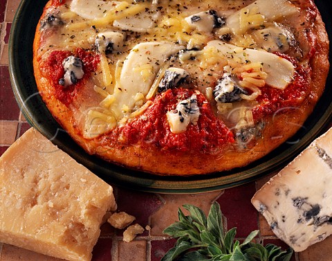 Mozzarella and blue cheese pizza