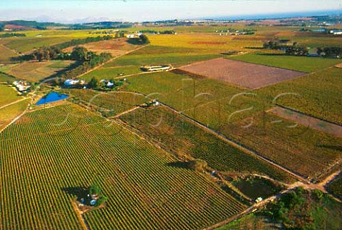 Aerial view over vineyards of   Stellenbosch looking towards   False Bay Cape Province   South Africa
