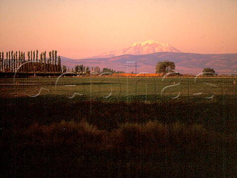 Snowcapped Mount Adams 12276 feet at the   northern end of the Yakima Valley   Washington USA