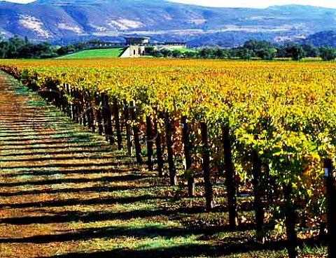 Opus One winery and vineyard Oakville   Napa Co California