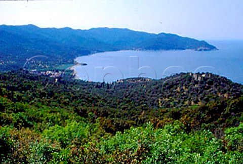 Vatopediou Bay Mount Athos  Macedonia Greece