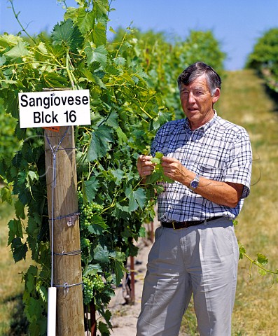 Norm McKibben of Seven Hills and Pepper Bridgeestates In addition to these his grapes are alsoused by many of Washingtons other top wineries Here he is in a block of Sangiovese vines at Pepper Bridge Walla Walla Washington USA