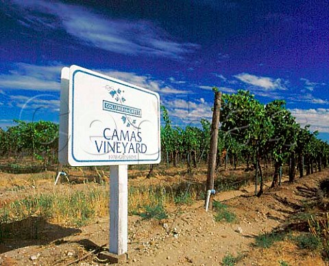 Sign Camas Vineyard Grenache vines of Columbia   Crest Paterson Washington USA    Columbia Valley   AVA