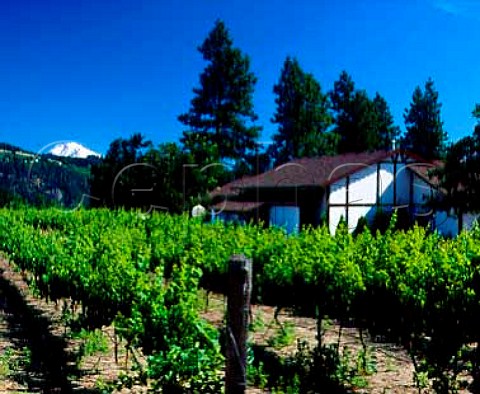 Flerchinger Vineyards and winery at Hood River  Oregon with the snowcap of Mount Adams   12276 feet 40miles away in Washington      Columbia Gorge AVA