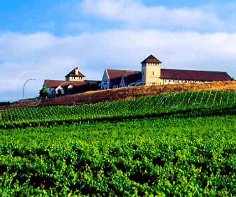 King Estate Winery Lorane Oregon USA   Willamette Valley AVA