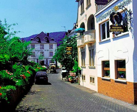 Hotels and wineries in Am Domhof Street   Piesport Germany     Mosel