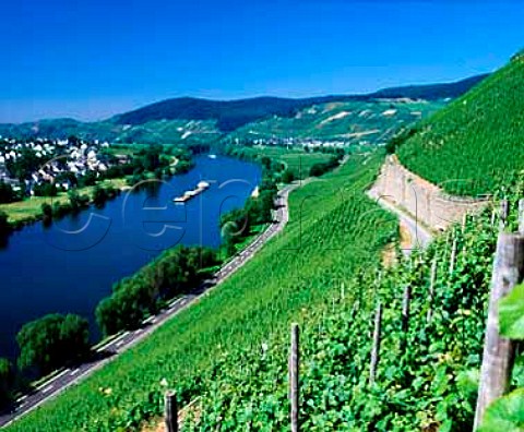 View from the Juffer Sonnenuhr vineyard over the   Mosel to Brauneberg Germany      Mosel