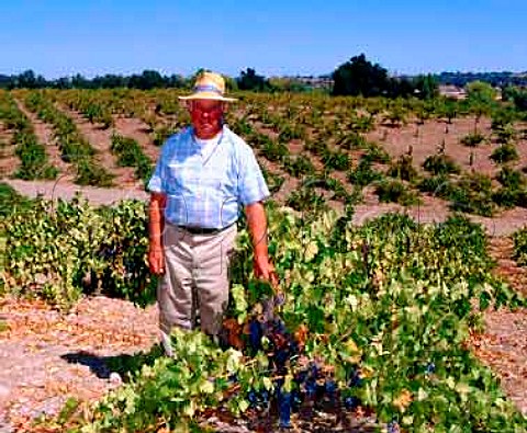 Benny Dusi of Dusi Ranch in his old Zinfandel   vineyard the grapes from which are used by   Ridge Vineyards for one of their singlevineyard   wines   Paso Robles San Luis Obispo Co   California     Paso Robles AVA