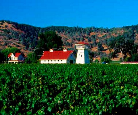 Beckstoffer Vineyards Rutherford   Napa Co California