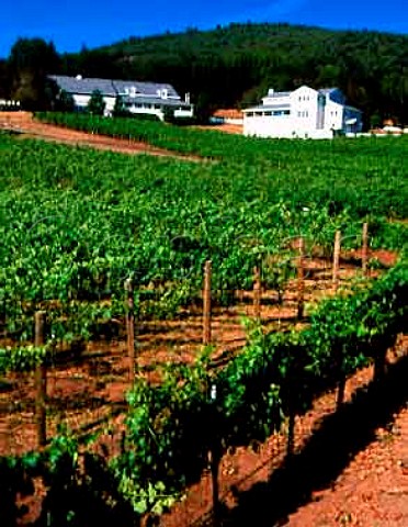 Arrowood Vineyard and Winery Glen Ellen   Sonoma Co California   Sonoma Valley AVA