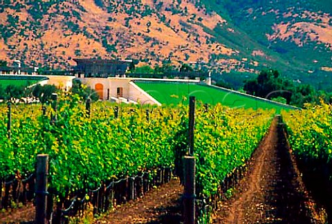 Opus One winery and vineyard   Oakville Napa Co California