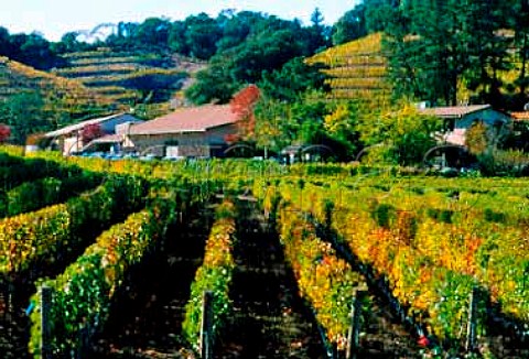 Pine Ridge Winery and vineyard   Napa California   Stags Leap AVA