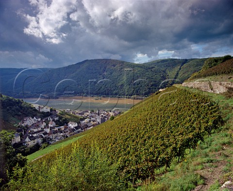 Storm clouds over the Hllenberg vineyard and Rhine at Assmannshausen Germany   Rheingau
