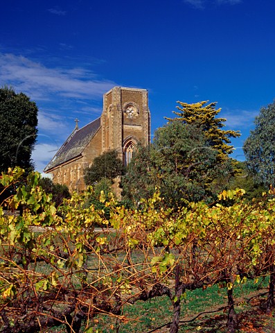 Autumnal vineyard by StAloysius Church of Sevenhill Cellars Sevenhill South Australia   Clare Valley
