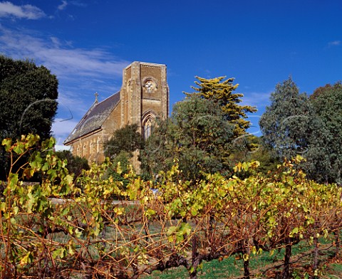 Autumnal vineyard and St Aloysius Church of   Sevenhill Cellars Sevenhill South Australia   Clare Valley