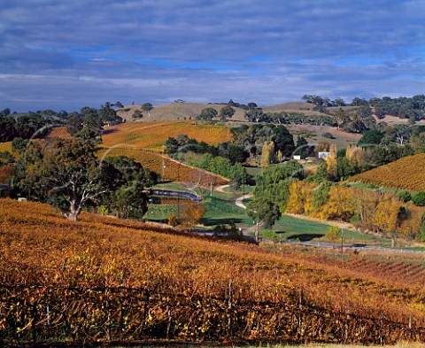 Gumeracha Vineyards in the autumn   Owned by Caj and Genny Amadio most grapes are   sold to Penfolds but some are retained for their own   Chain of Ponds label       Gumeracha South Australia   Adelaide Hills
