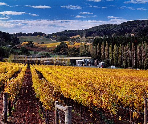 Tapanappa winery and vineyards Piccadilly South Australia   Adelaide Hills