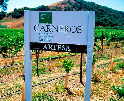 Carneros sign in vineyard of Artesa   Napa California   Carneros AVA